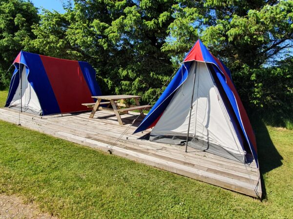 Ark Helt tør Helligdom Glampingtelte, familietelte og udlejning af campingvogne - Tornby Strand  Camping