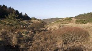 Naturen i nordjylland ferie i vendsyssel