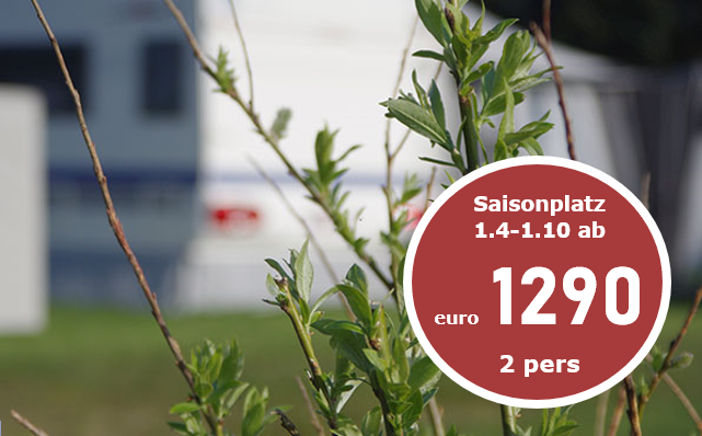 Dauercamping Dänemark in Natur nordseeküste gute Sanitäre anlage ruhe