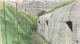 10. batteri tyske bunkers i danmark vestkysten atlantvolden 