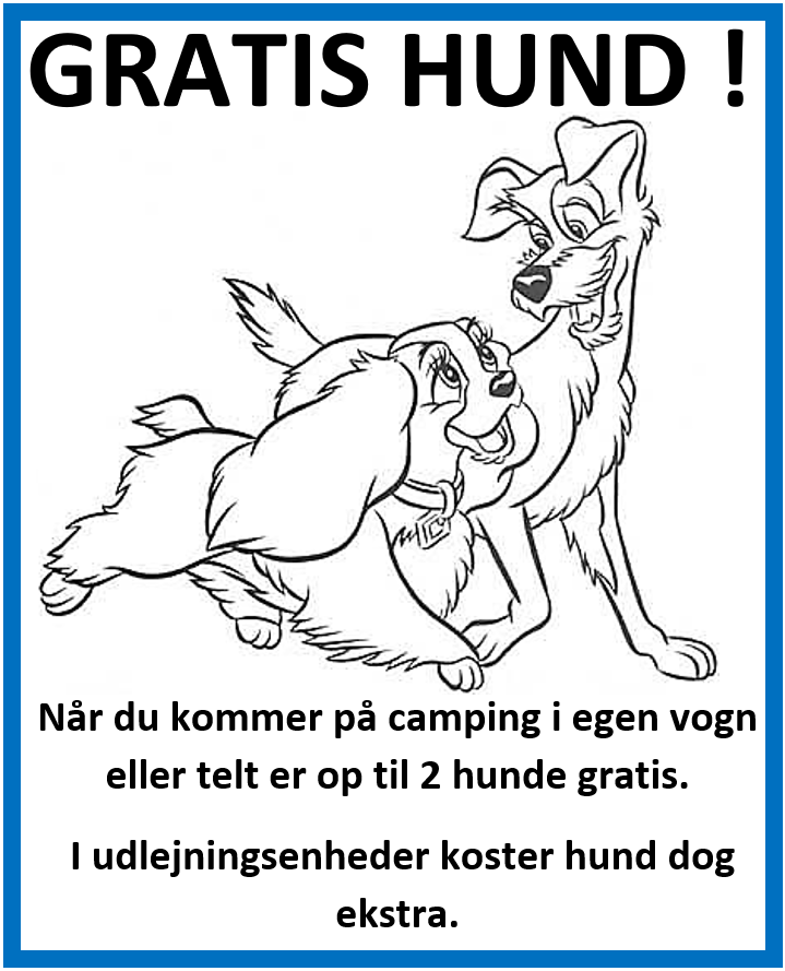 Hund gratis på campingplads