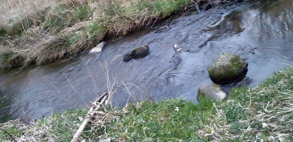 Fiskeri i nordjyske åer - Hjørring