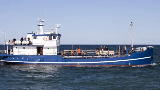 Sea fishing by boat to the yellow reef